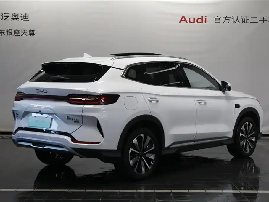 BYD PLUS New Energy 2025 из CN, фото 5