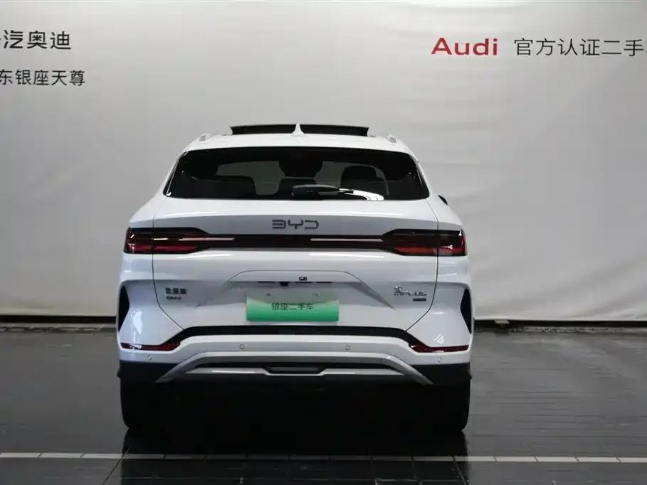 BYD PLUS New Energy 2025 из CN, фото 6