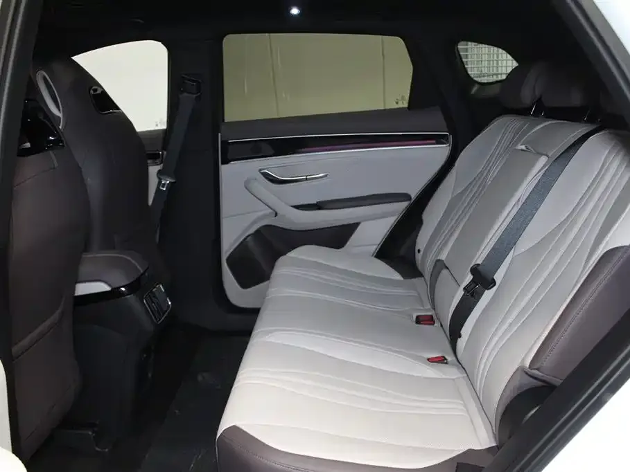 BYD PLUS New Energy 2025 из CN, фото 8