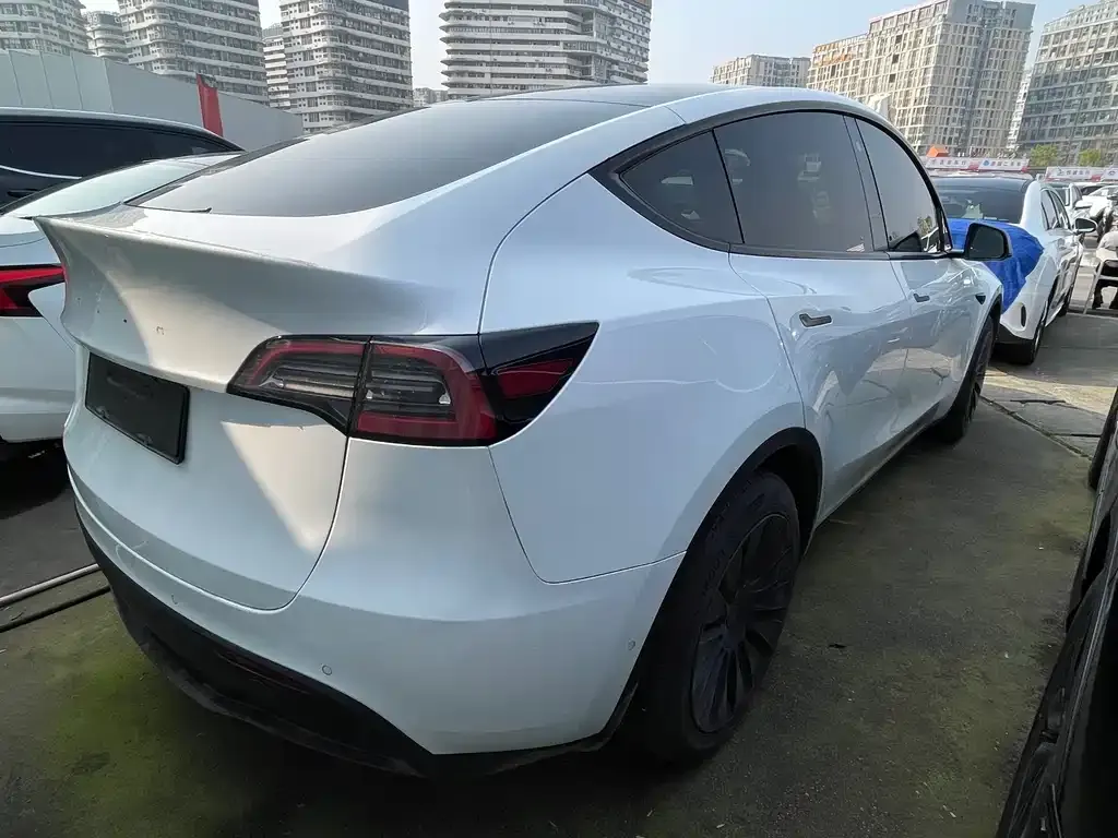 Tesla Model Y — фото 10