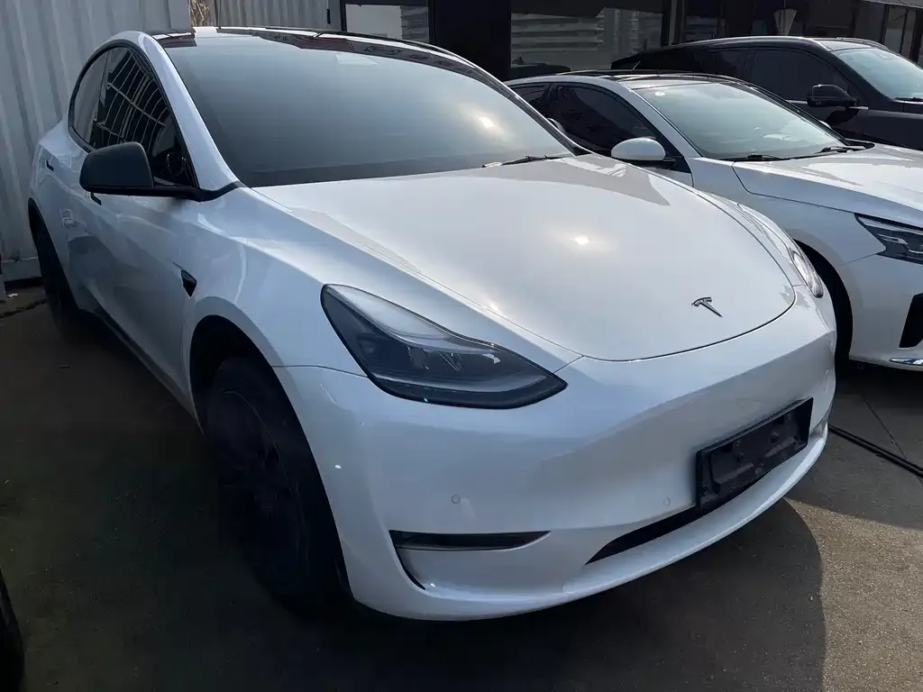 Tesla Model Y — фото 2