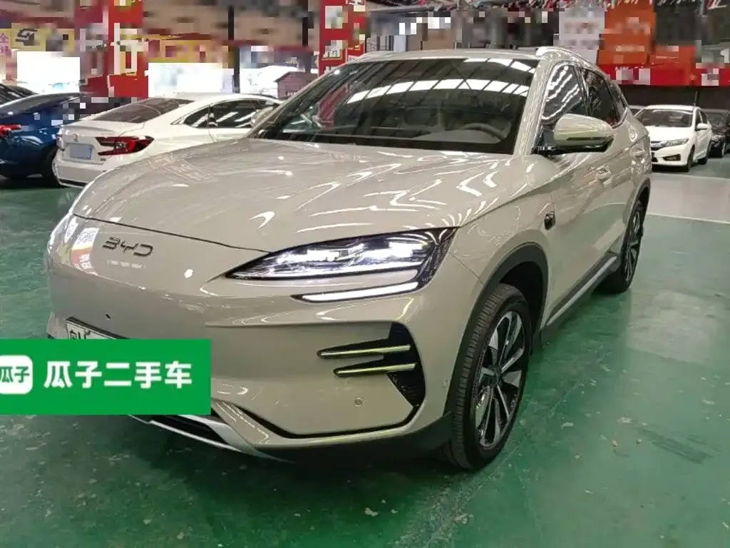 BYD PLUS New Energy 2025 из CN, фото 1