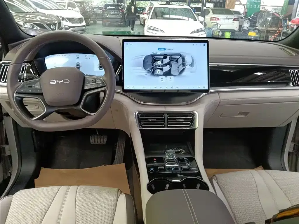 BYD PLUS New Energy 2025 из CN, фото 10