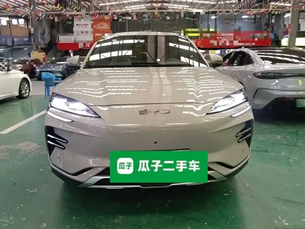 BYD PLUS New Energy 2025 из CN, фото 3