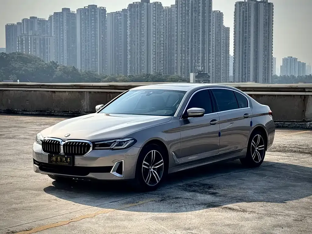 BMW 5 Series 2021 из CN, фото 1