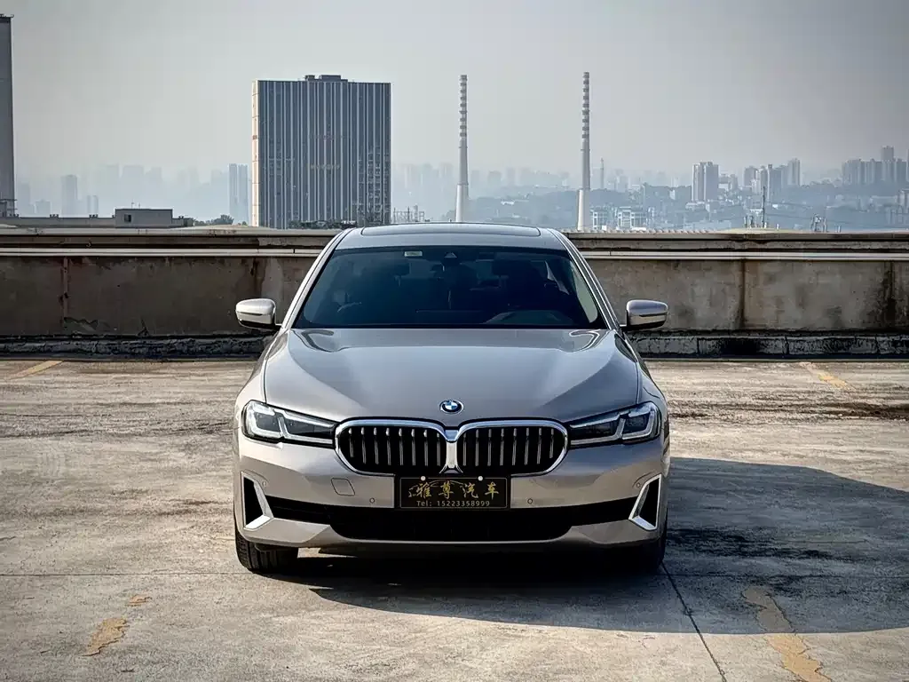 BMW 5 Series 2021 из CN, фото 2