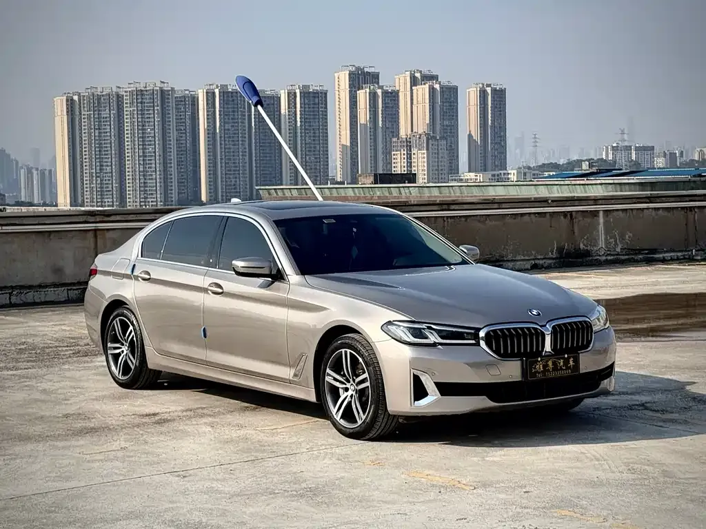 BMW 5 Series 2021 из CN, фото 3