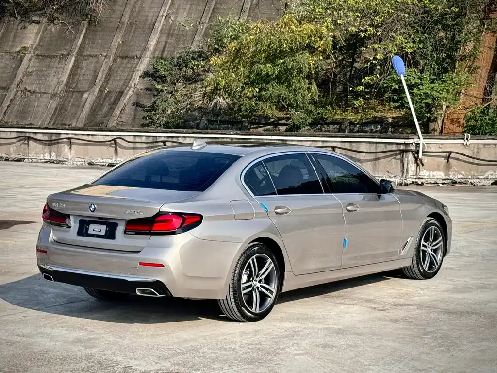 BMW 5 Series 2021 из CN, фото 4