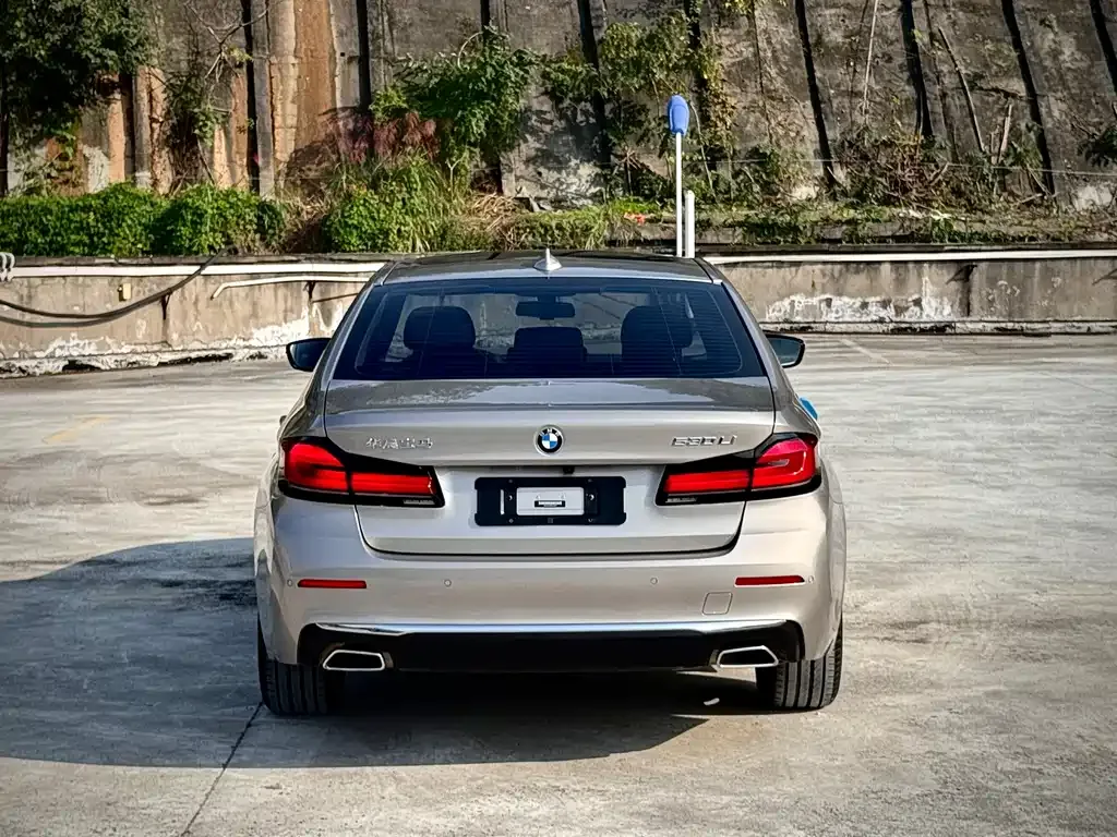 BMW 5 Series 2021 из CN, фото 5