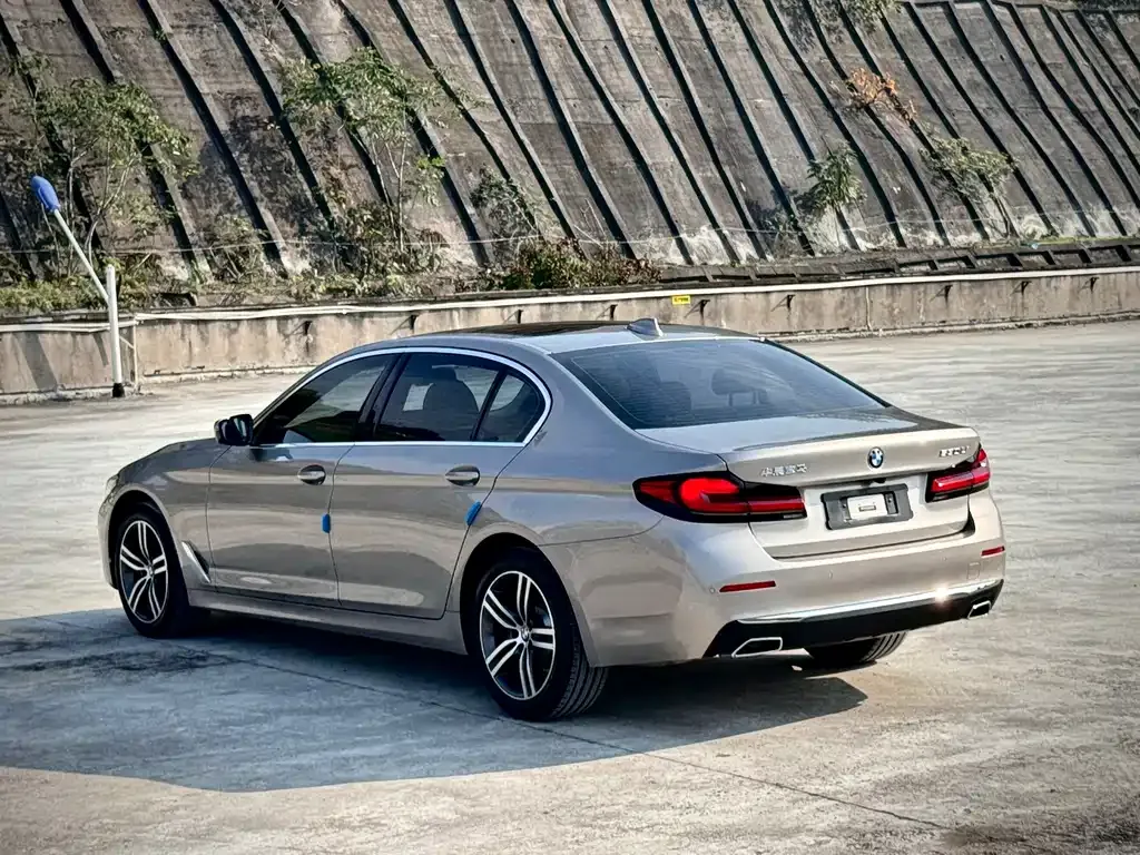 BMW 5 Series 2021 из CN, фото 6
