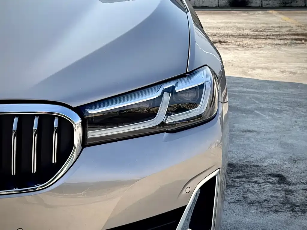 BMW 5 Series 2021 из CN, фото 7