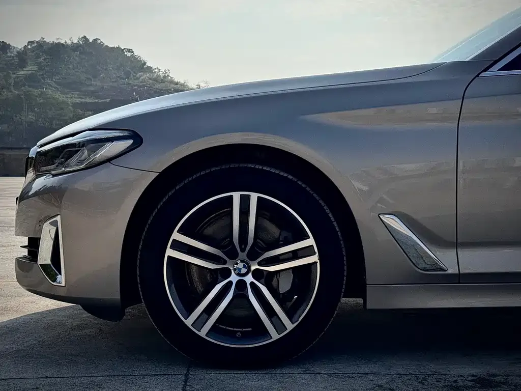 BMW 5 Series 2021 из CN, фото 8