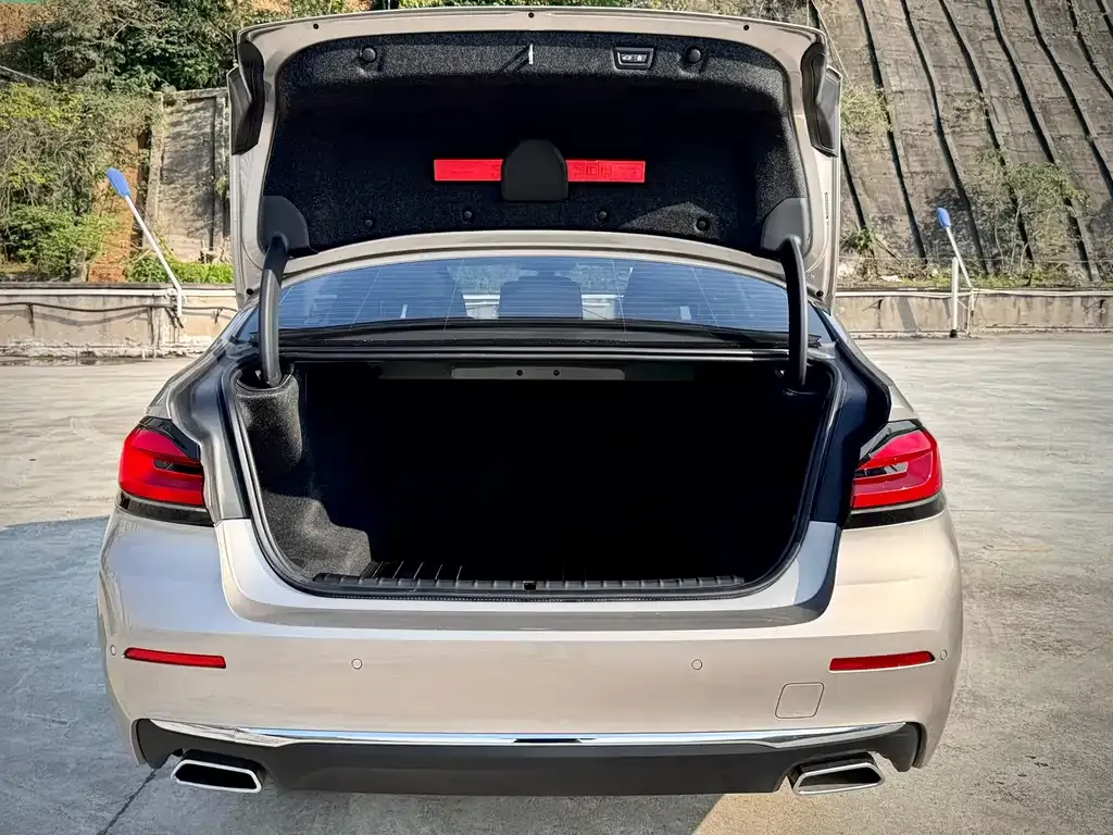 BMW 5 Series 2021 из CN, фото 9