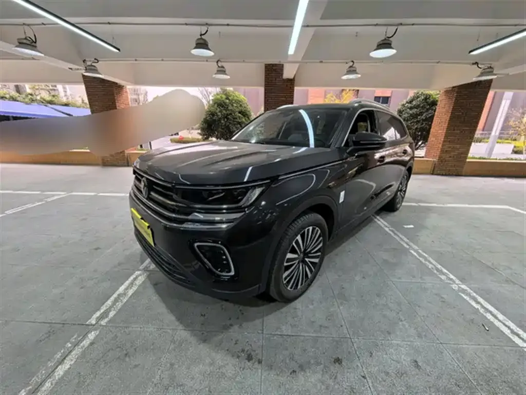 Volkswagen Tavendor 2024 из CN, фото 1