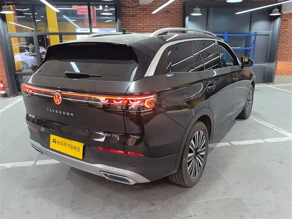 Volkswagen Tavendor 2024 из CN, фото 5