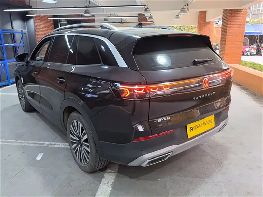 Volkswagen Tavendor 2024 из CN, фото 7