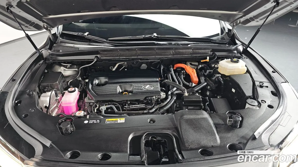 Lexus RX 2025 из KR, фото 6