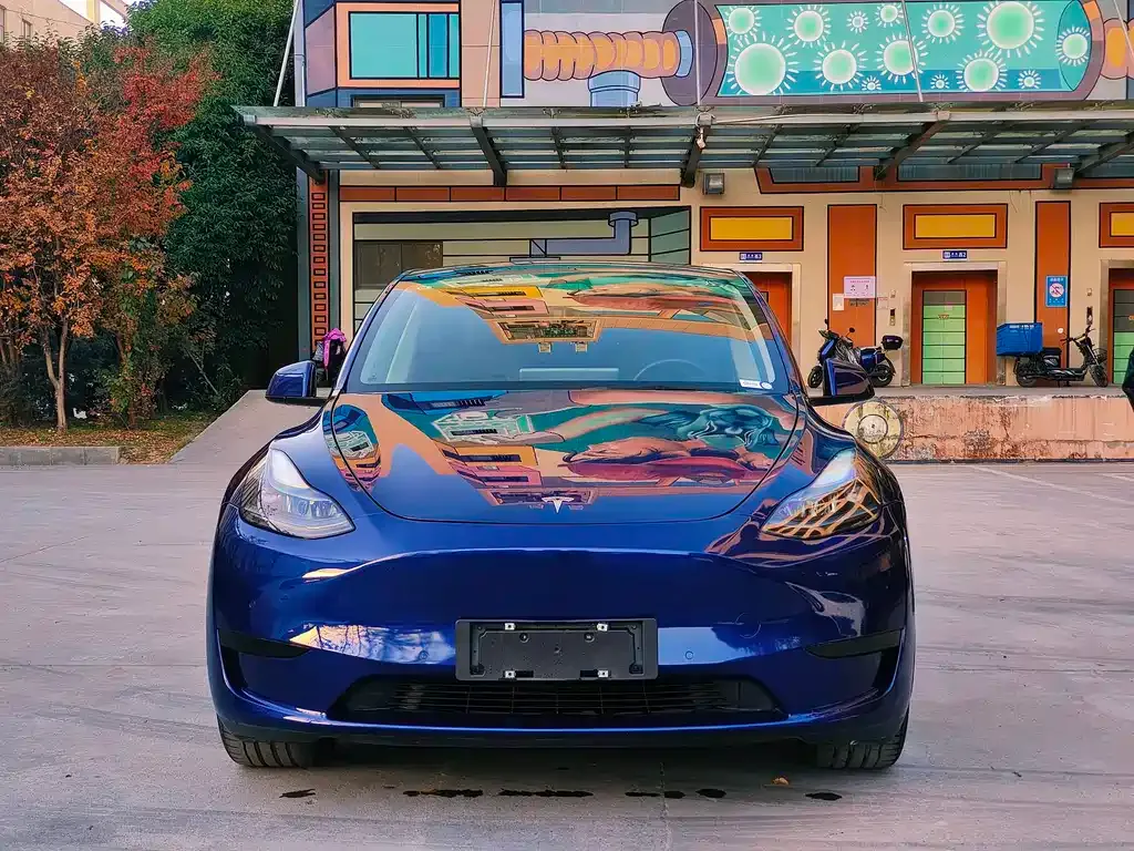 Tesla Model Y — фото 2
