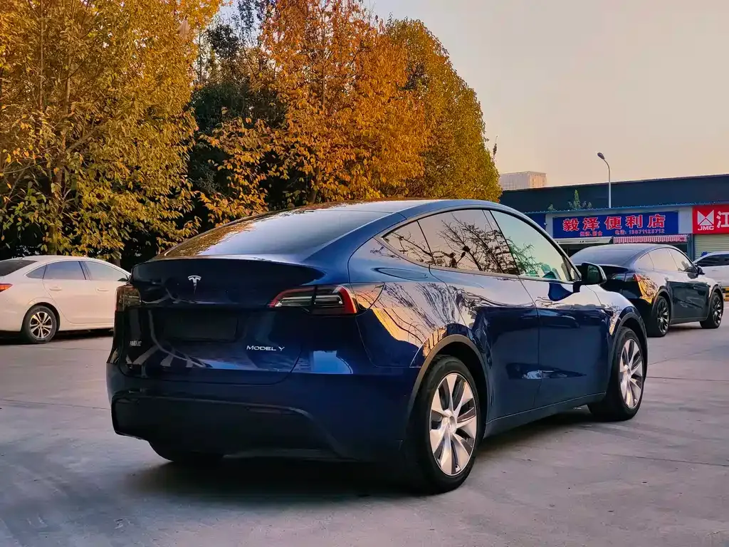 Tesla Model Y — фото 7