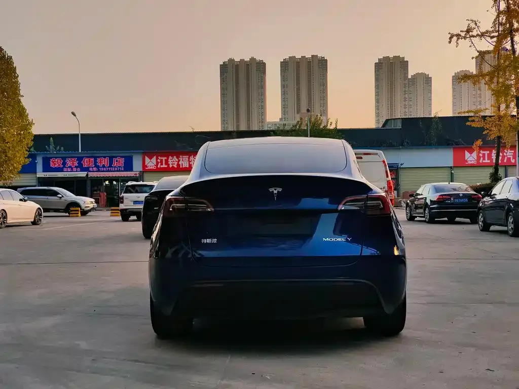 Tesla Model Y — фото 8