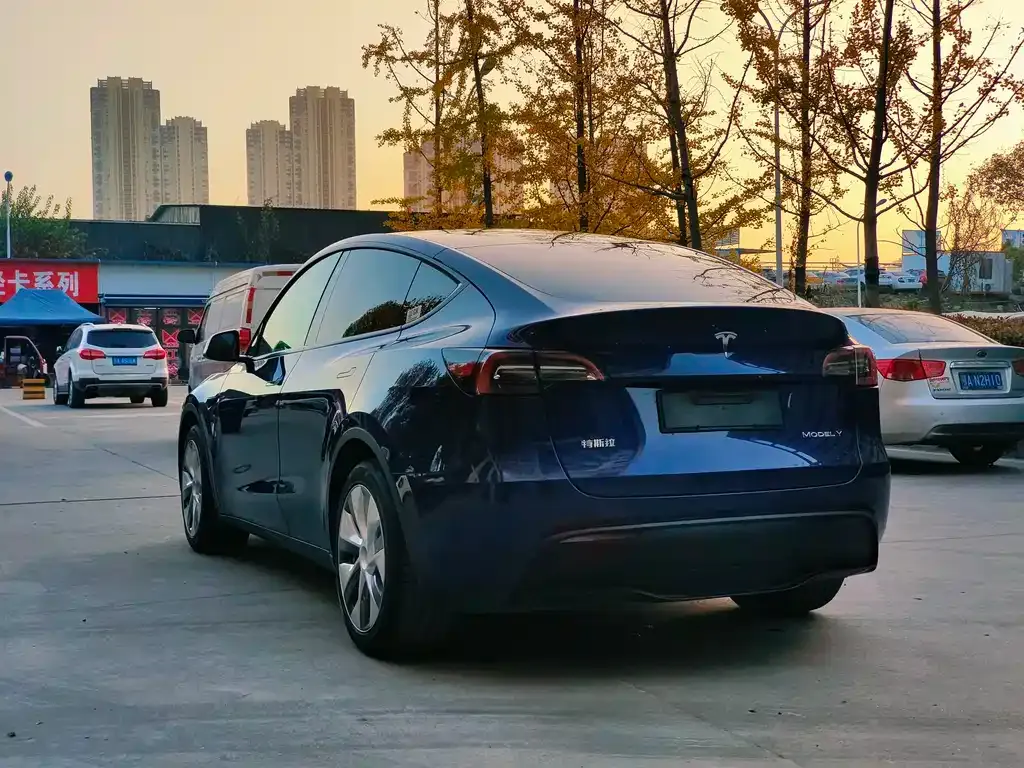 Tesla Model Y — фото 9