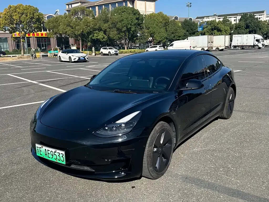 Tesla Model 3 — фото 1