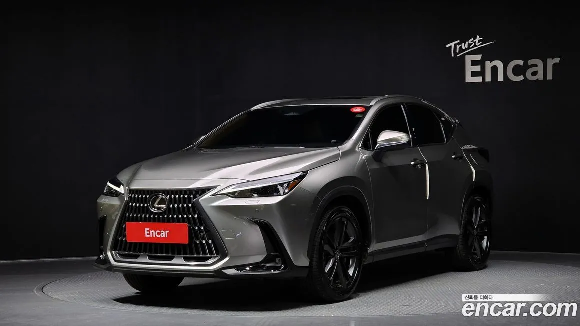 Lexus NX 2025 из KR, фото 1