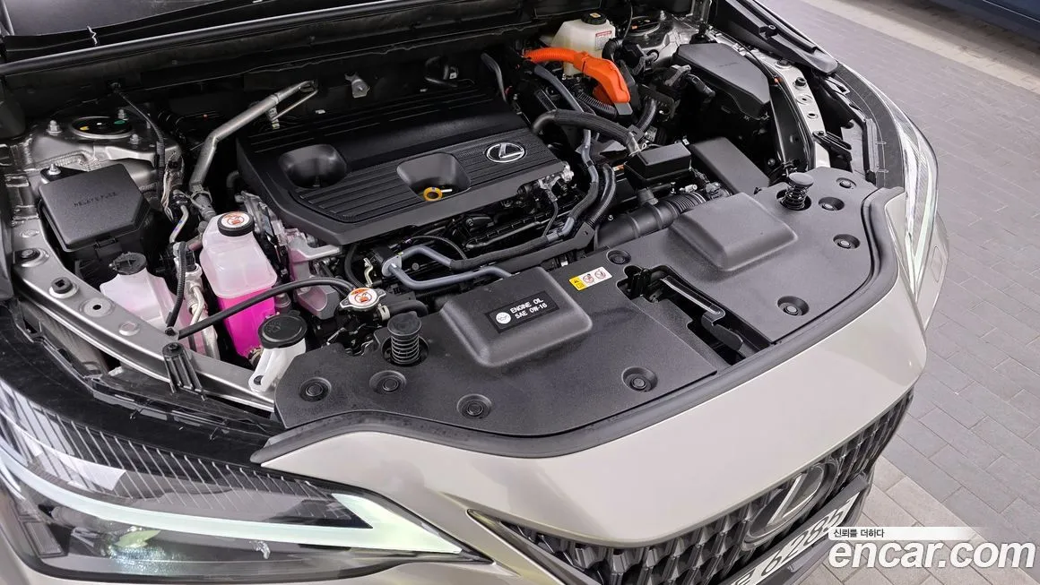Lexus NX 2025 из KR, фото 6