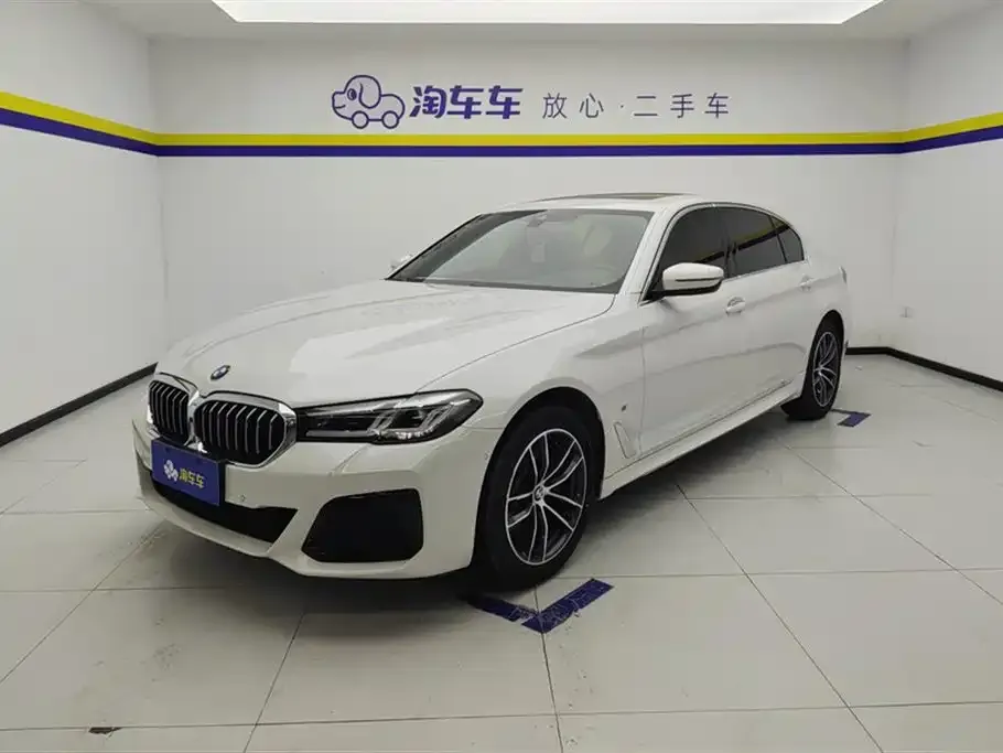 BMW 5 Series 2021 из CN, фото 1
