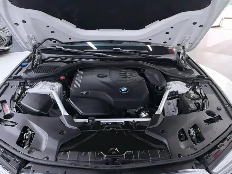 BMW 5 Series 2021 из CN, фото 10