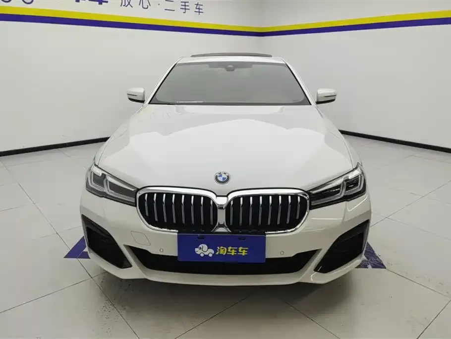 BMW 5 Series 2021 из CN, фото 2