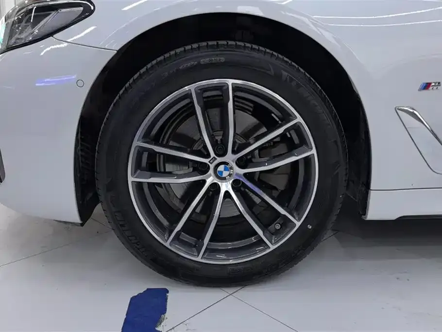 BMW 5 Series 2021 из CN, фото 6