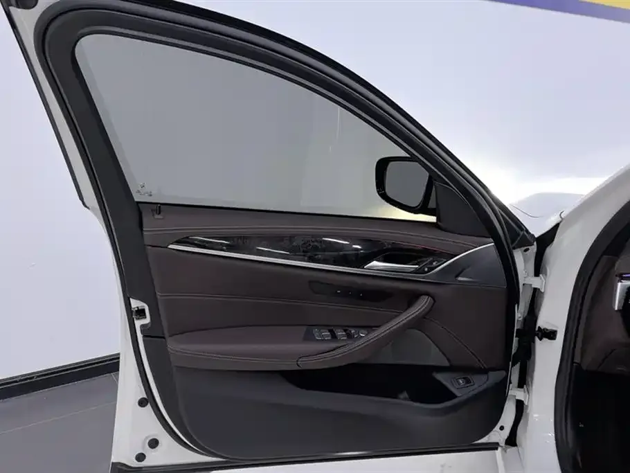 BMW 5 Series 2021 из CN, фото 7