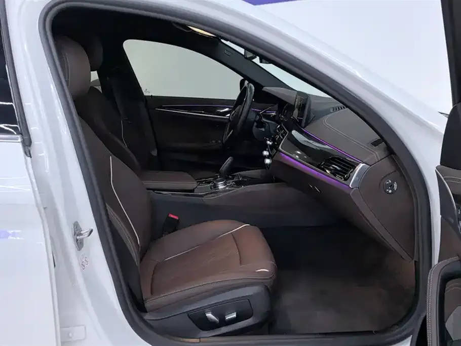 BMW 5 Series 2021 из CN, фото 8
