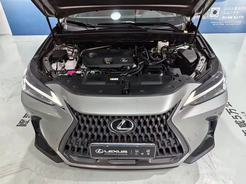 Lexus NX 2023 из CN, фото 3