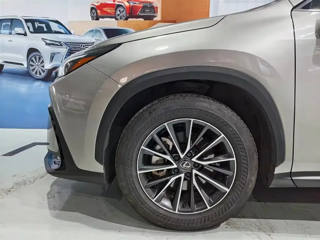 Lexus NX 2023 из CN, фото 4