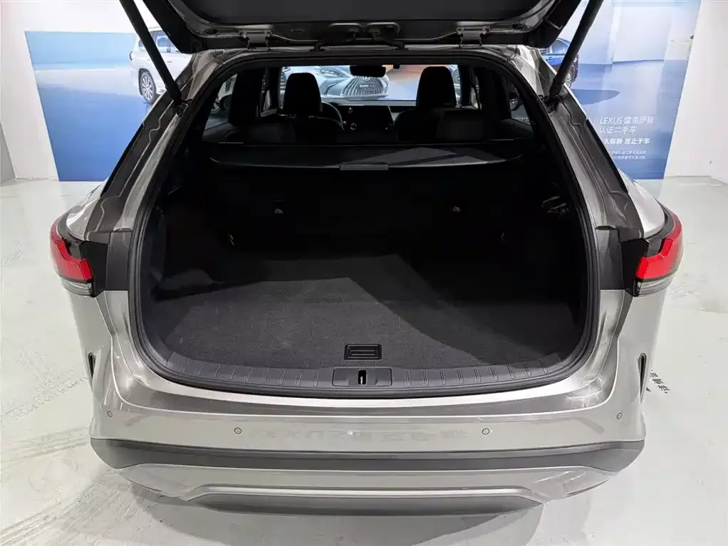 Lexus RX 2023 из CN, фото 7