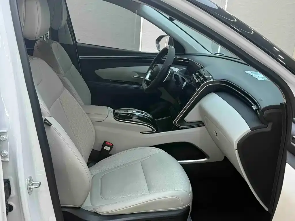 Hyundai Tucson 2021 из CN, фото 9
