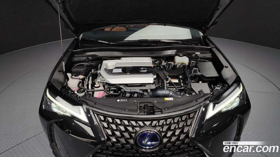 Lexus UX — фото 6