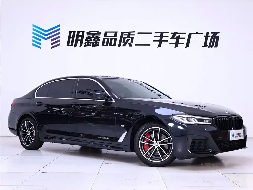 BMW 5 Series 2022 из CN, фото 5