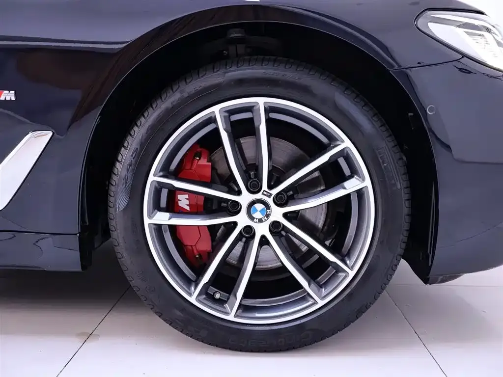 BMW 5 Series 2022 из CN, фото 6