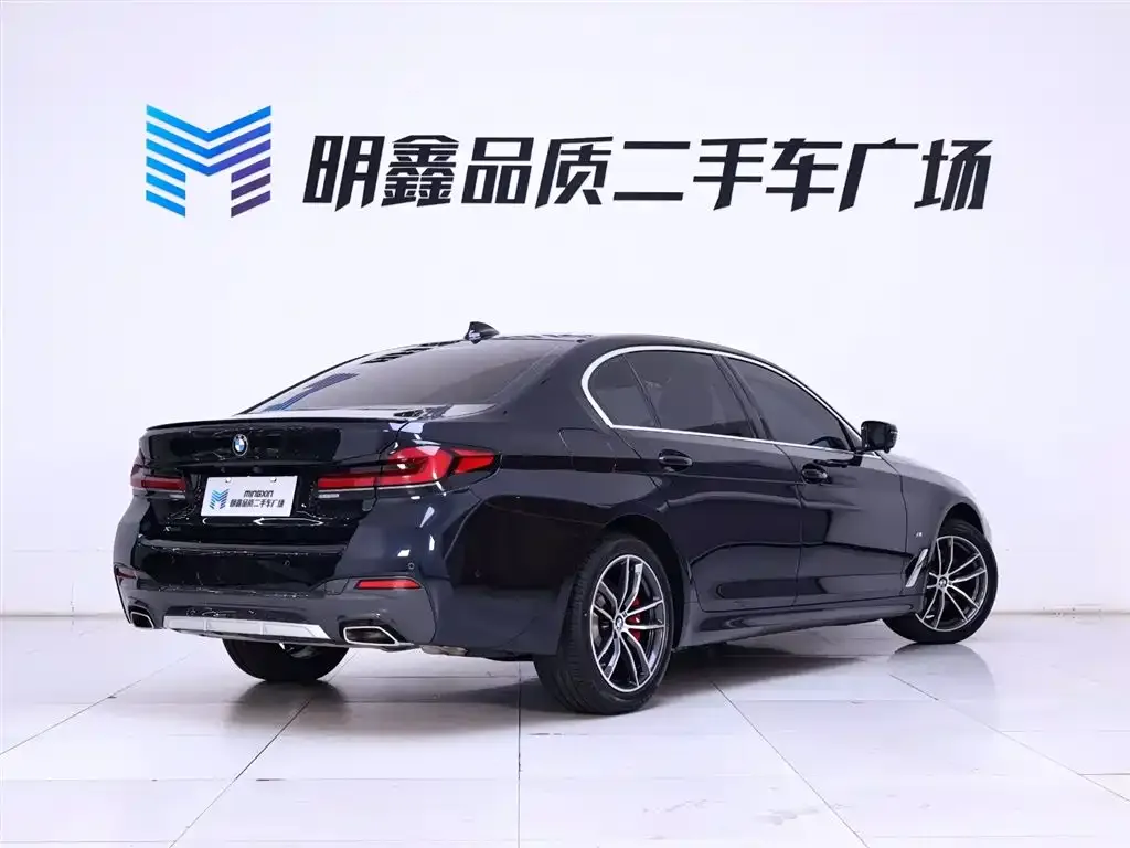 BMW 5 Series 2022 из CN, фото 7