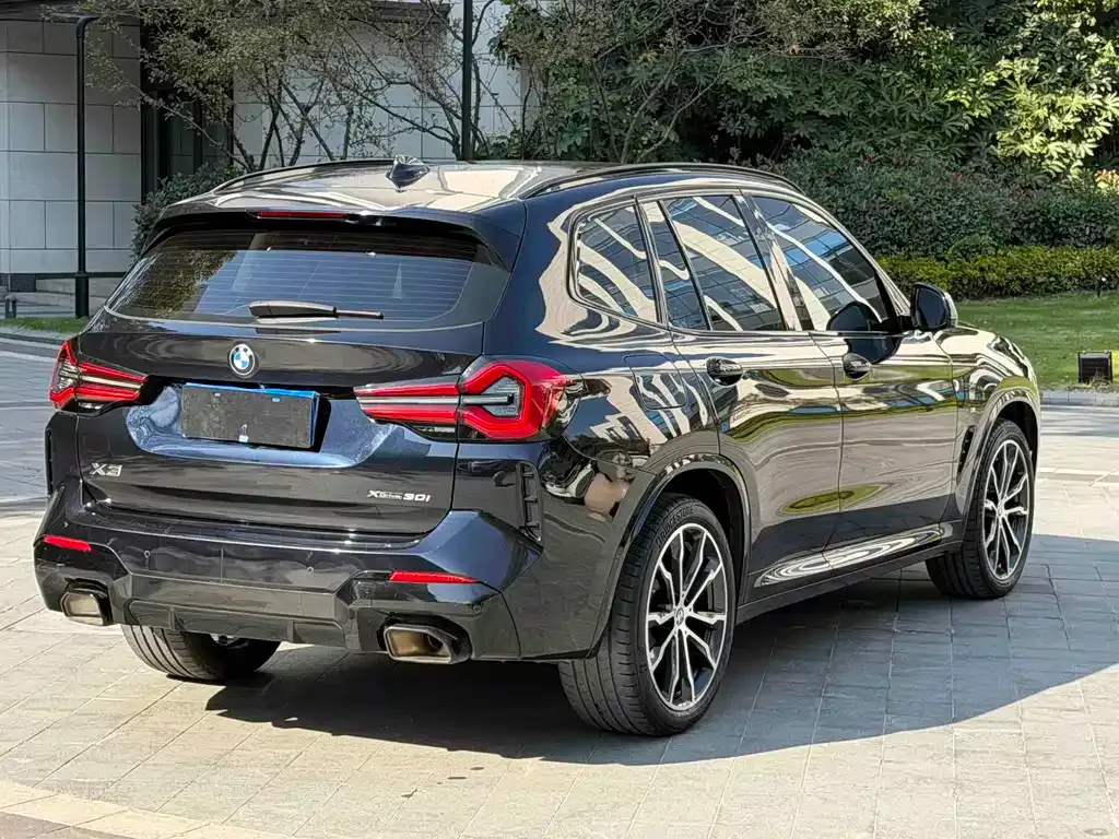 BMW X3 2022 из CN, фото 6