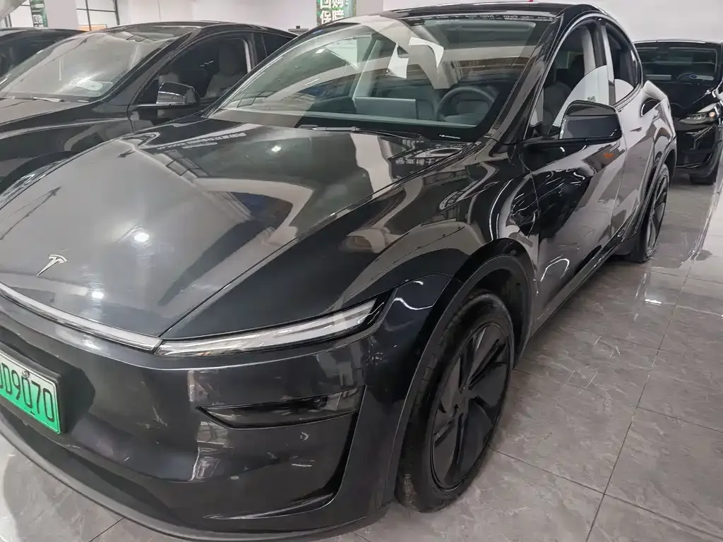 Tesla Model Y 2025 из CN, фото 1