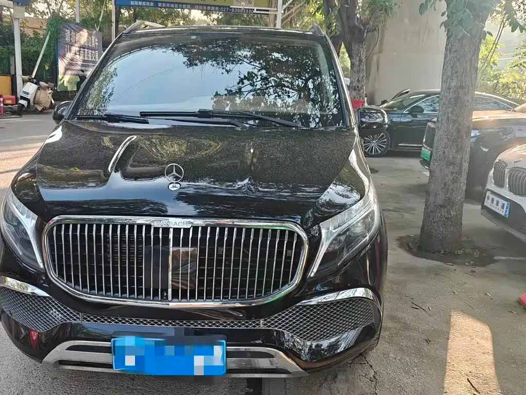 Mercedes-Benz Vito 2022 из CN, фото 2
