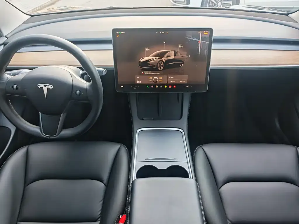 Tesla Model 3 2022 из CN, фото 7