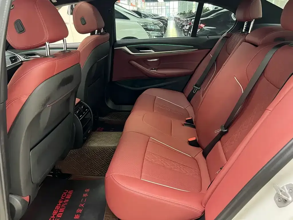 BMW 5 Series 2023 из CN, фото 10