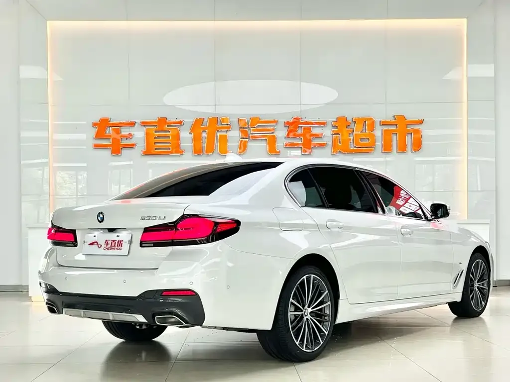 BMW 5 Series 2023 из CN, фото 5