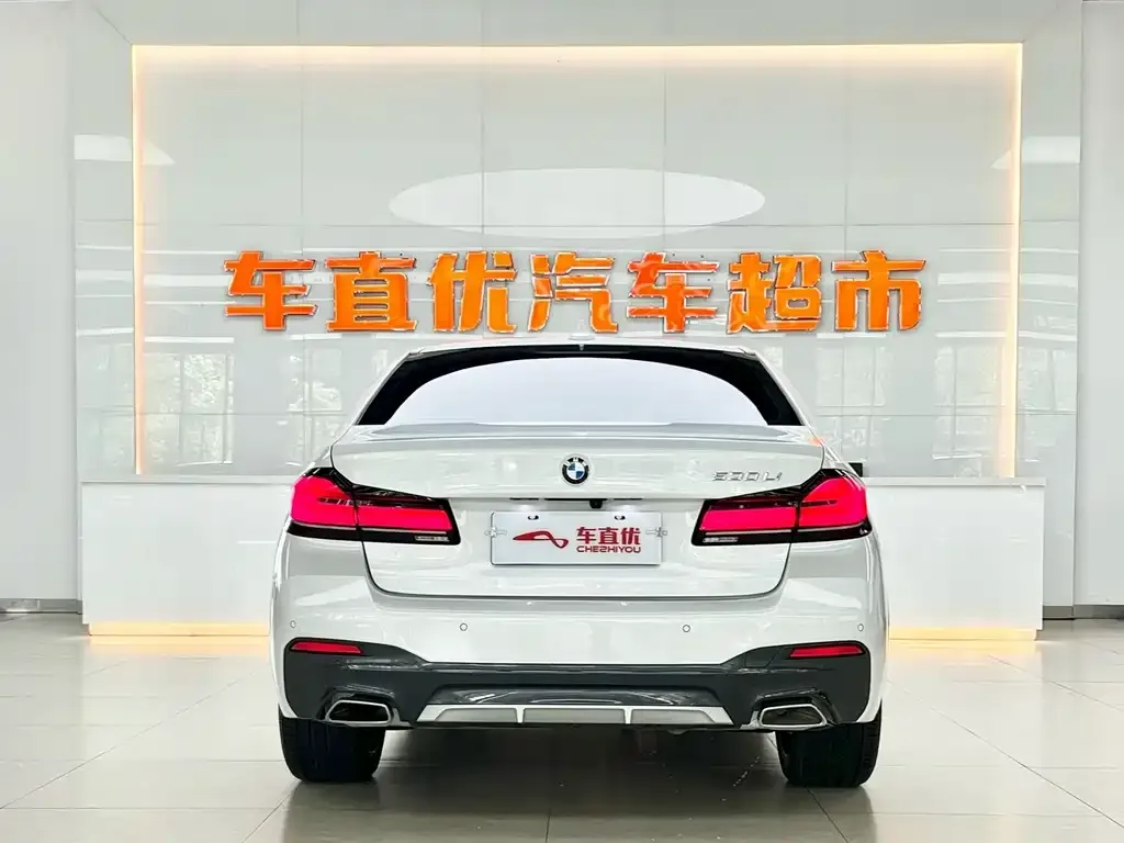 BMW 5 Series 2023 из CN, фото 6