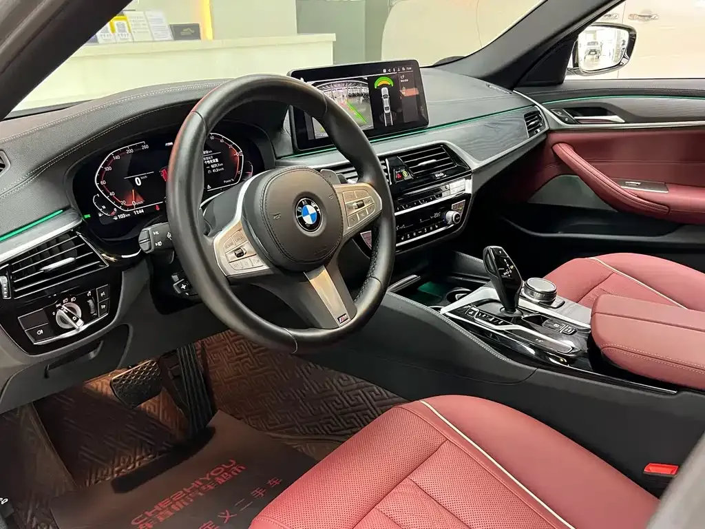 BMW 5 Series 2023 из CN, фото 8